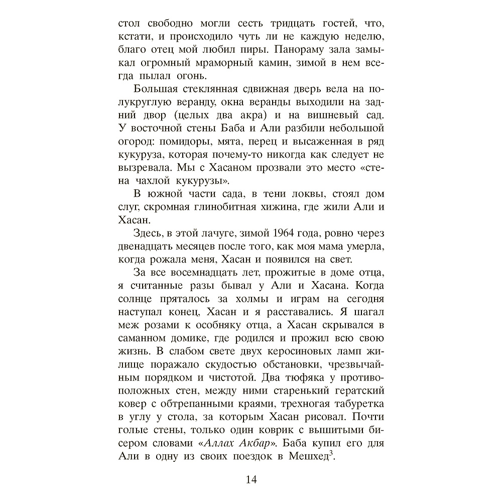 Книга "Бегущий за ветром", Халед Хоссейни - 7