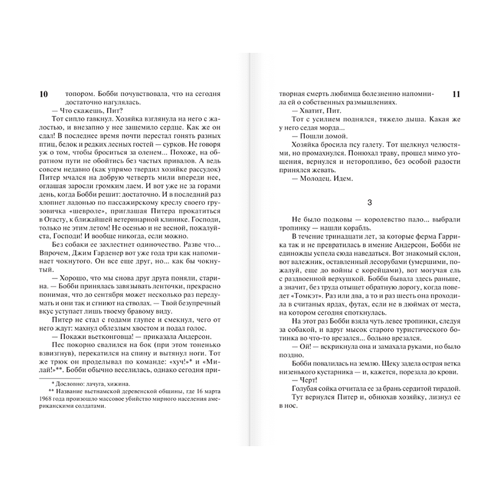 Книга "Томминокеры", Стивен Кинг - 8