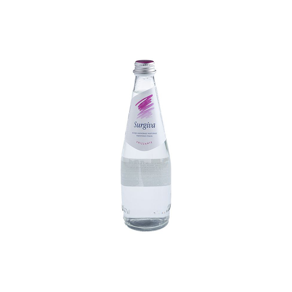 Вода минеральная природная питьевая «Surgiva», 0.5 л, газированная, 20 бут/упак. - 2