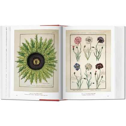 Книга на английском языке "A Garden Eden. Masterpieces of Botanical Illustration", Lack H. W. - 3