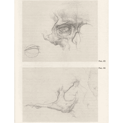 Книга "Анатомия для художников. Учебное пособие", Наталия Дудиева - 6