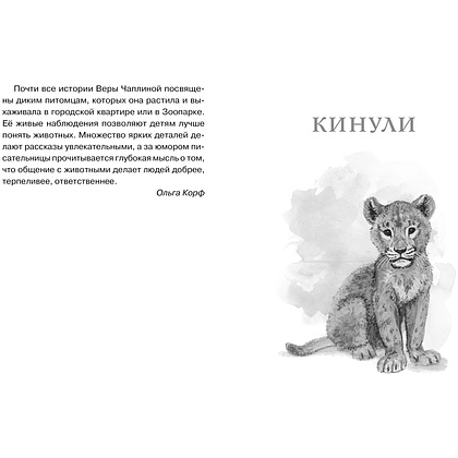 Книга "ЧЛУ. Фомка - белый медвежонок", Вера Чаплина - 3