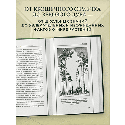 Книга "Советские учебники. Занимательная ботаника", Александр Цингер - 4