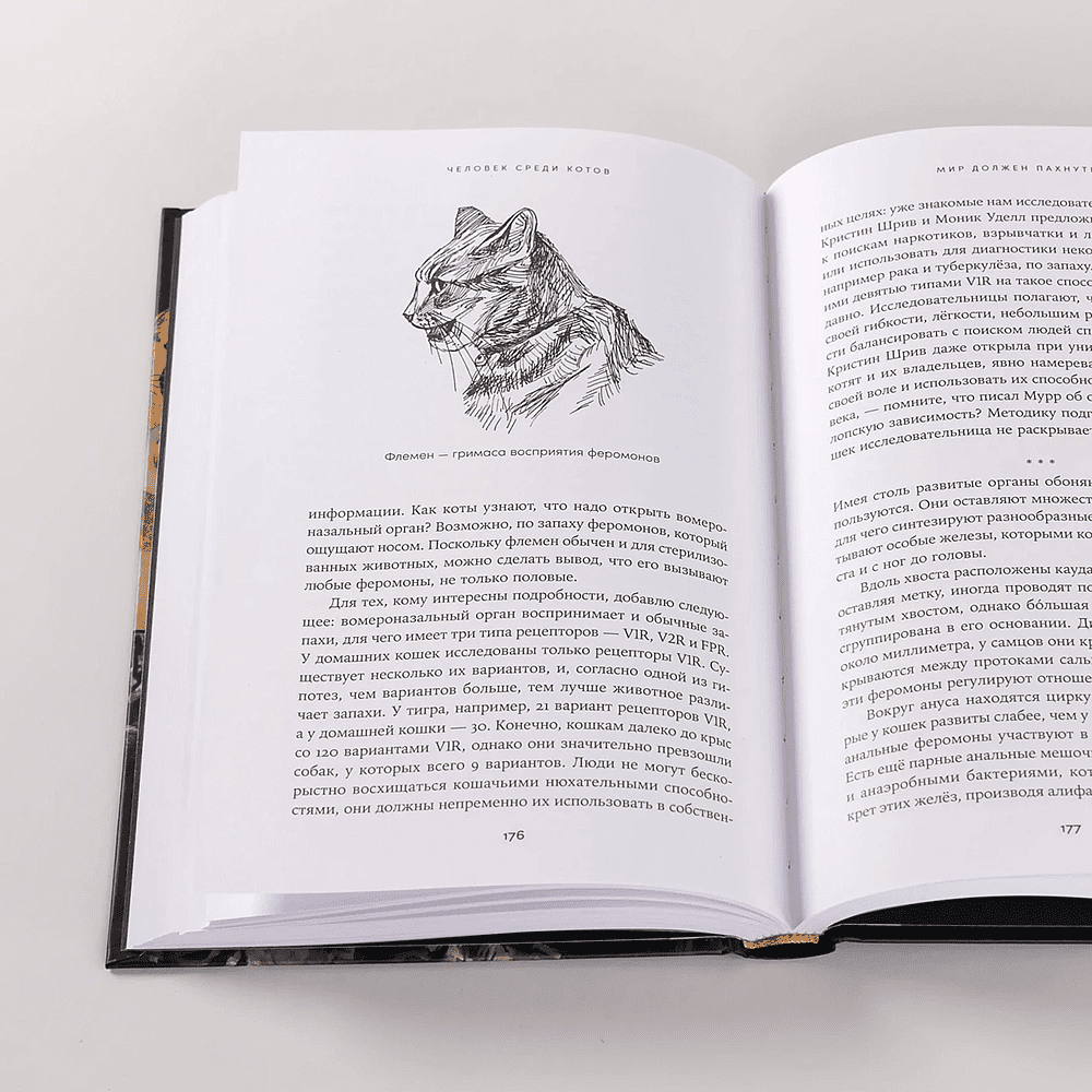 Книга "Человек среди котов. История близкого соседства", Наталья Резник - 7