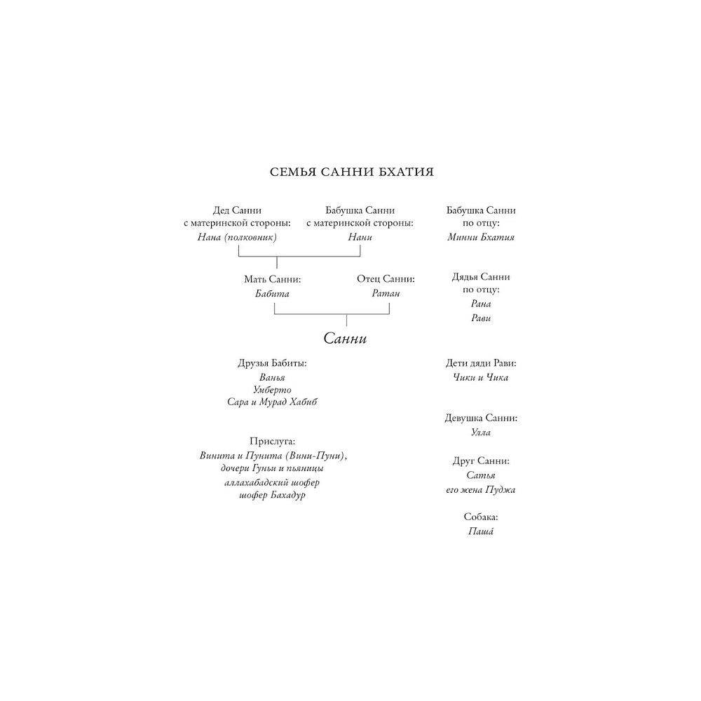 Книга "Одиночество Сони и Санни", Киран Десаи - 5