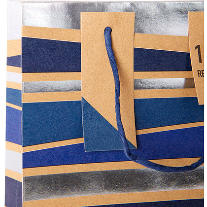 Пакет бумажный подарочный "Male stripe", 21.5x10.2x25.3 см - 5