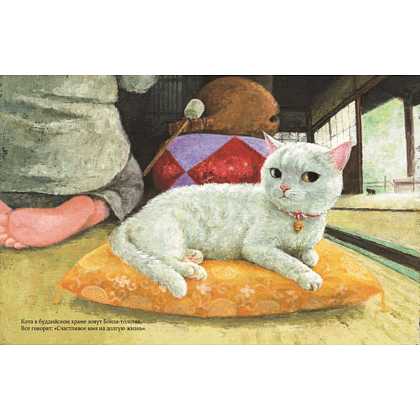 Книга "Кот без имени", Фумико Такэсита, иллюстрации Матида Наоко - 4