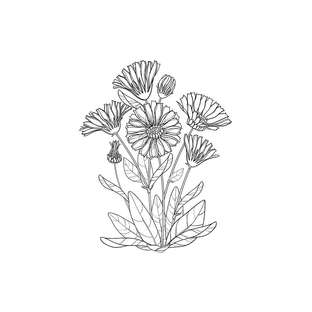 Раскраска антистресс "Уникальные цветы" - 9