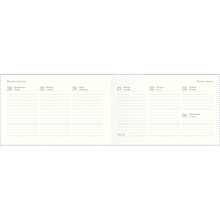 Еженедельник датированный "Flora" на 2026 год, А6, 128 страницы, розовый