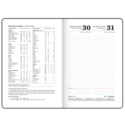 Ежедневник датированный "Plain" 2025, А5, 336 страниц, черный - 6