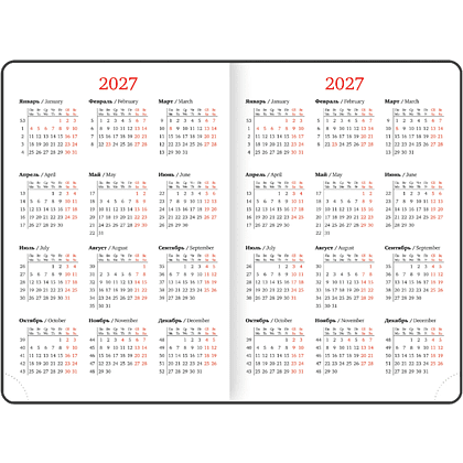 Еженедельник датированный "Party" на 2027 год, А5, 128 странниц, черный - 6