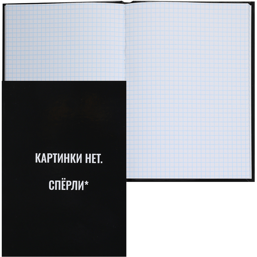 Книга записная "Картинки нет", А5, 145x205 мм, 80 листов, в клетку, черный