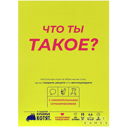 Игра настольная "Что ты такое?" - 2