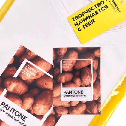 Набор сувенирный "Футболка унисекс оверсайз "Pantone 2025", XS-S, белый + открытка-стикер 3D" - 3 Набор сувенирный "Футболка унисекс оверсайз "Pantone 2025", XS-S, белый + открытка-стикер 3D" - 3
