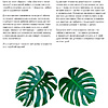 Книга "Зеленый оазис. Комнатные растения от А до Я", Березкина И. - 3