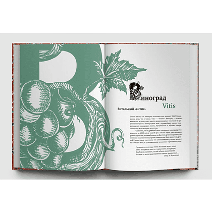 Книга  "Искусство и флора. От Аканта до Яблони", Ольга Козлова, Светлана Шехтер - 5