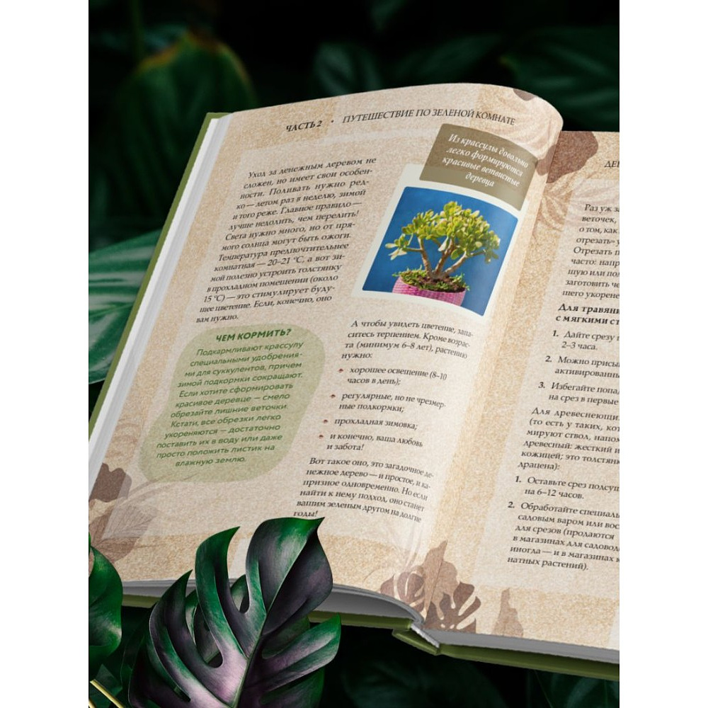 Книга "Зеленая комната. Как стать повелителем домашних джунглей", Илья Зеленов - 9