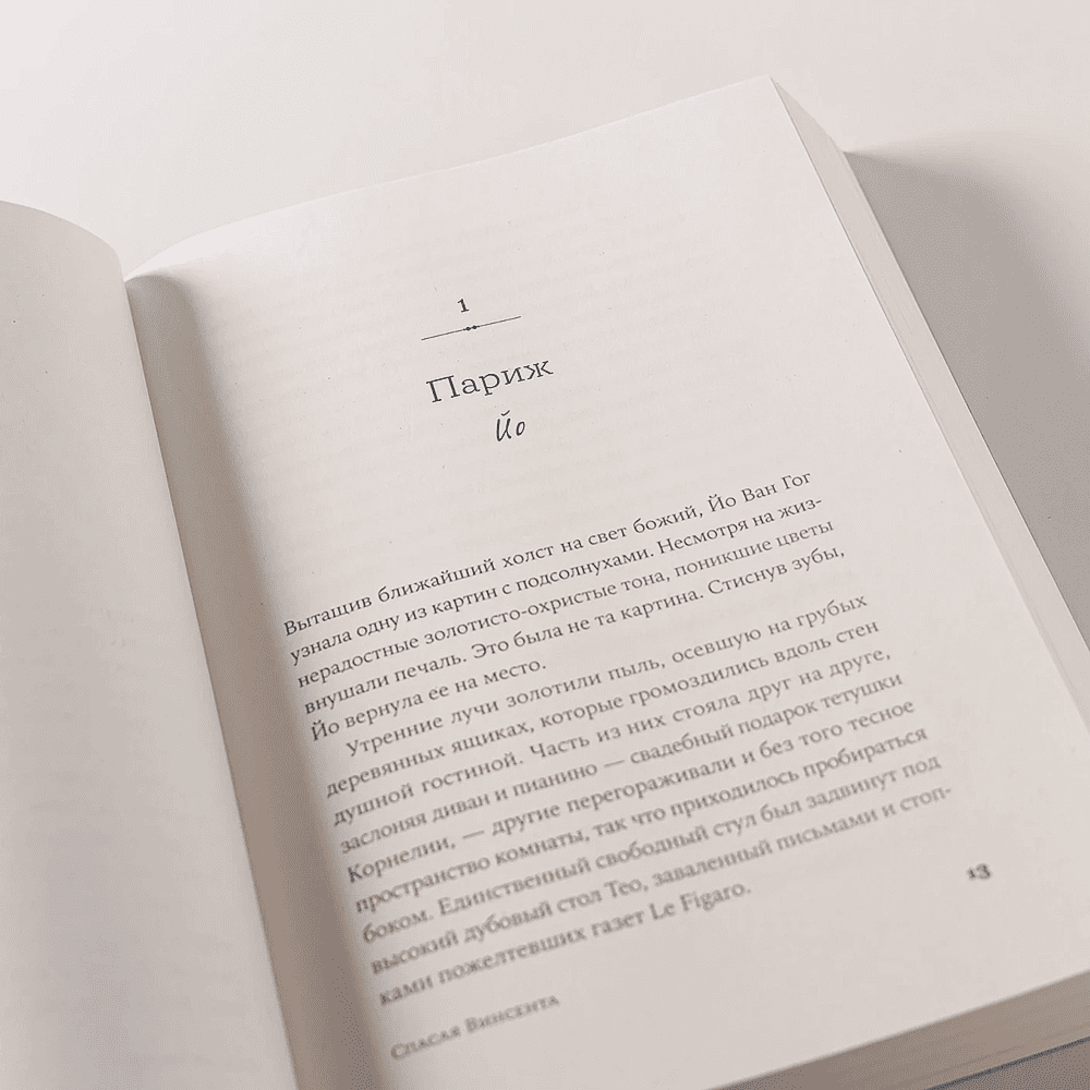 Книга "Спасая Винсента", Джоан Фернандес - 7