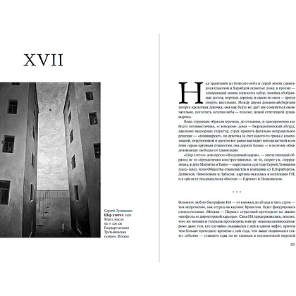 Книга "Палаццо Мадамы. Воображаемый музей Ирины Антоновой", Лев Данилкин - 16