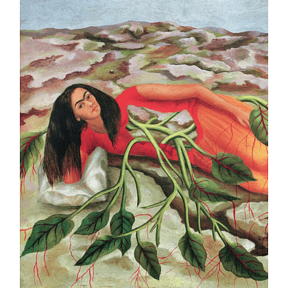 Книга "Истории Фриды. Жизнь и приключения Фриды Кало, бунтарки и изгоя", Альба Романо Паче - 7