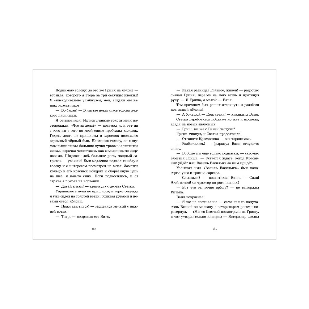 Книга "Деревня Гусиные Лапки. Три истории в одной книге", Андрей Снесарь - 6