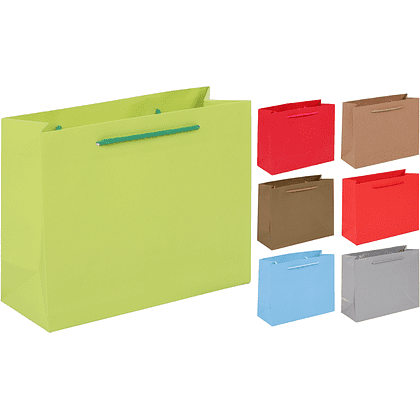 Пакет бумажный подарочный "231906", 24х19х10 см, ассорти