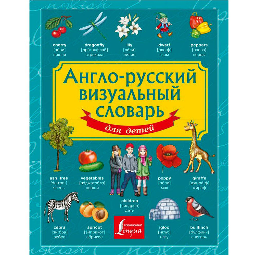 Книга "Англо-русский визуальный словарь для детей"