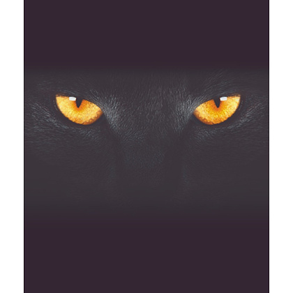 Тетрадь "Кто это?", А5, 48 листов, клетка, ассорти - 11