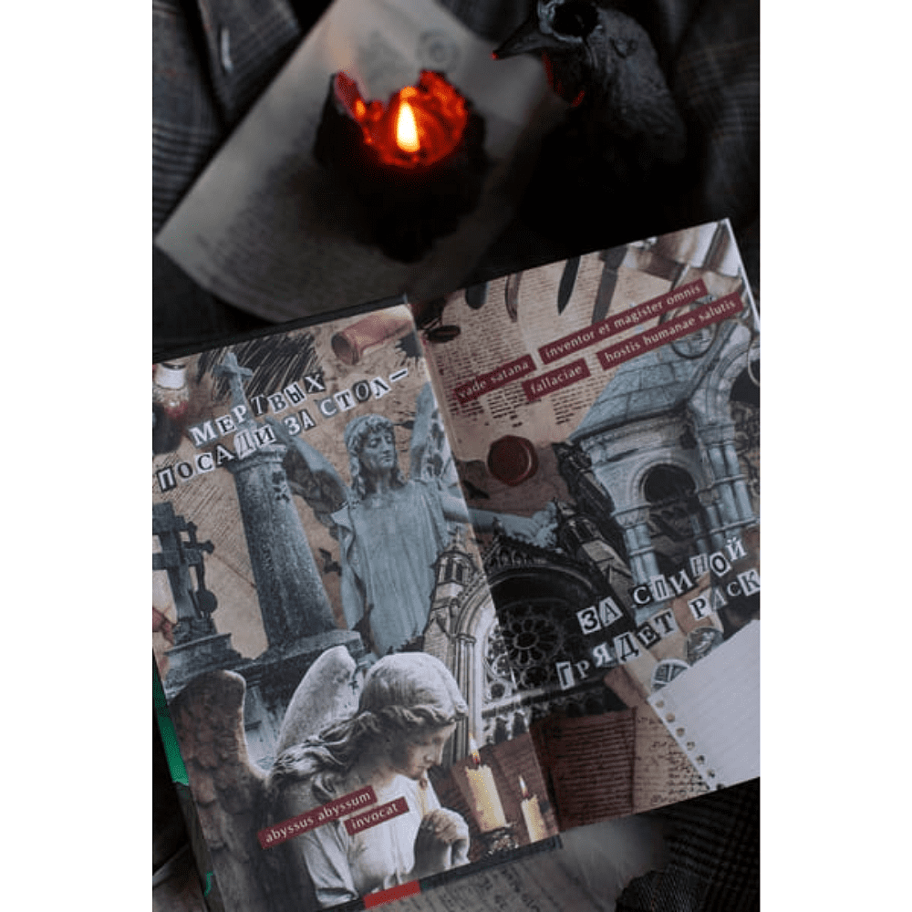 Книга "Общество забытых мучеников", Анви Рид - 2