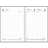 Ежедневник датированный "Crystal", А5, 320 страниц, черный, 2026 - 4