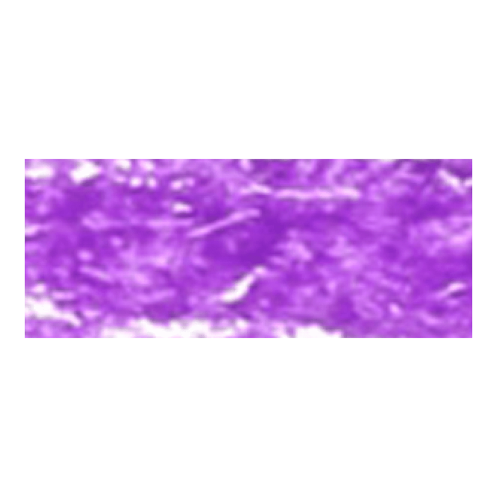 Пастель масляная "Renesans", 49 пурпур - 2