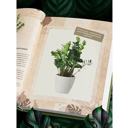 Книга "Зеленая комната. Как стать повелителем домашних джунглей", Илья Зеленов - 12