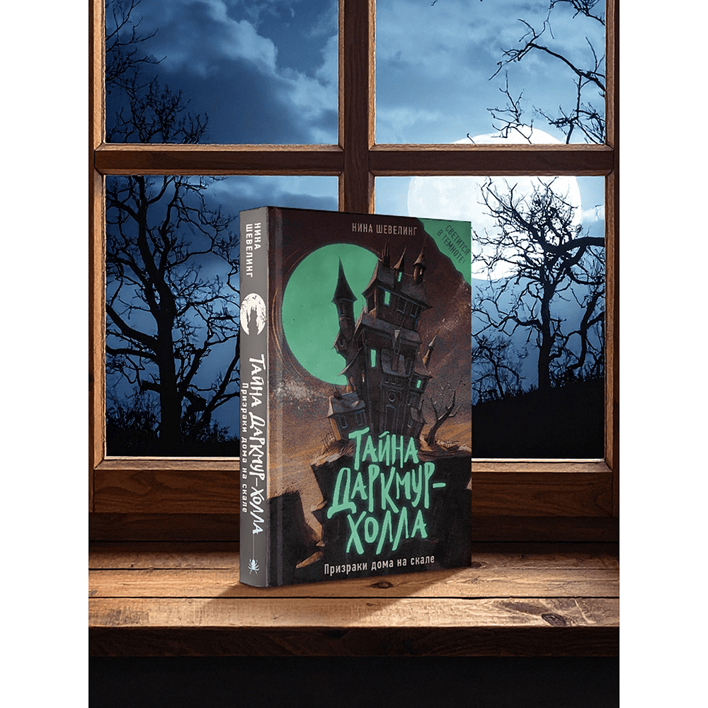 Книга "Тайна Даркмур-Холла. Призраки дома на скале", Нина Шевелинг - 2