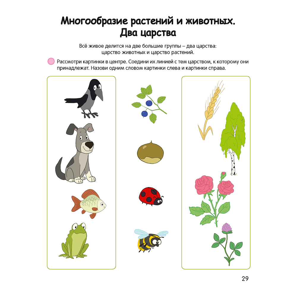 Книга "Умней-ка. 4-5 лет. Знакомство с природой", Петрикевич А. А. - 6