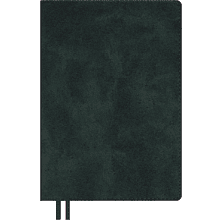 Ежедневник полудатированный "Тиволи Делавэ", А5, 384 страницы, зелёный