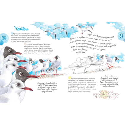 Книга "Птицы в городе. 25 историй в фактах и рисунках", Наталья Габеева - 3