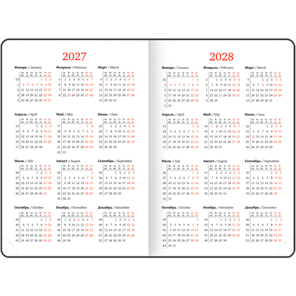 Ежедневник датированный "Profile" на 2027 год, А5, 352 страницы, синий - 6