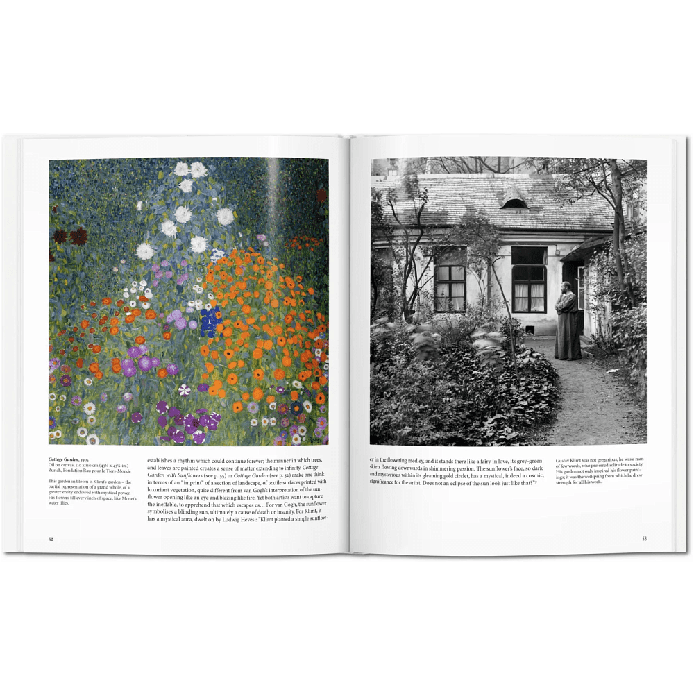 Книга на английском языке "Basic Art. Klimt"  - 5