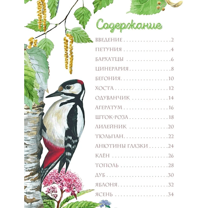 Книга "Растения в городе", Ирина Пескова - 4