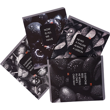 Тетрадь А5 "Natural Black" 48 листов, в клетку, ассорти - 3