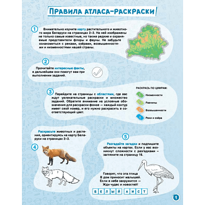 Атлас-раскраска "Растительный и животный мир Беларуси" - 2