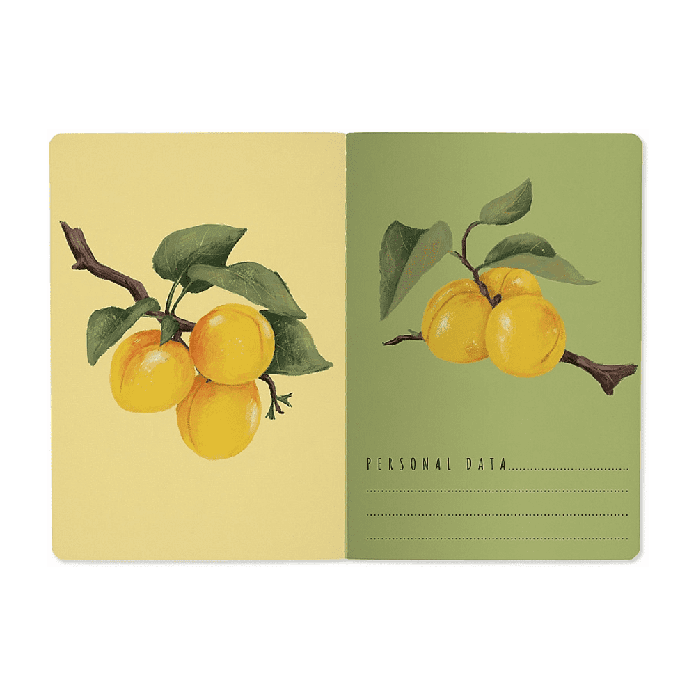 Тетрадь "Flora. Paradise. Абрикосы", A5, 40 листов, клетка, белый, желтый - 3