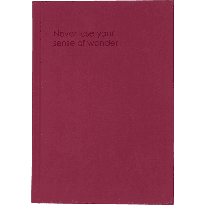 Ежедневник недатированный "Every Day. Magic", A5, 176 листов, бордовый - 4