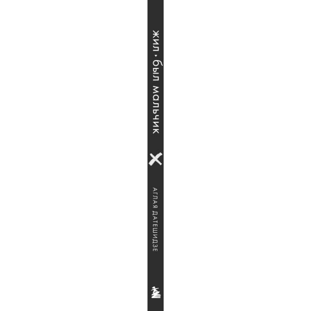 Книга "Жил-был мальчик. Настольная книга о бывшем", Аглая Датешидзе - 4