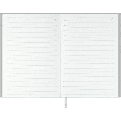 Ежедневник недатированный "Аспид Глосс", А6+, 320 страниц, линейка, серый - 5