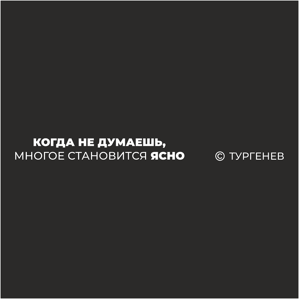 Ручка шариковая автоматическая "Когда не думаешь, многое становится ясно. Тургенев" 1.0 мм, черный, стерж. синий - 2