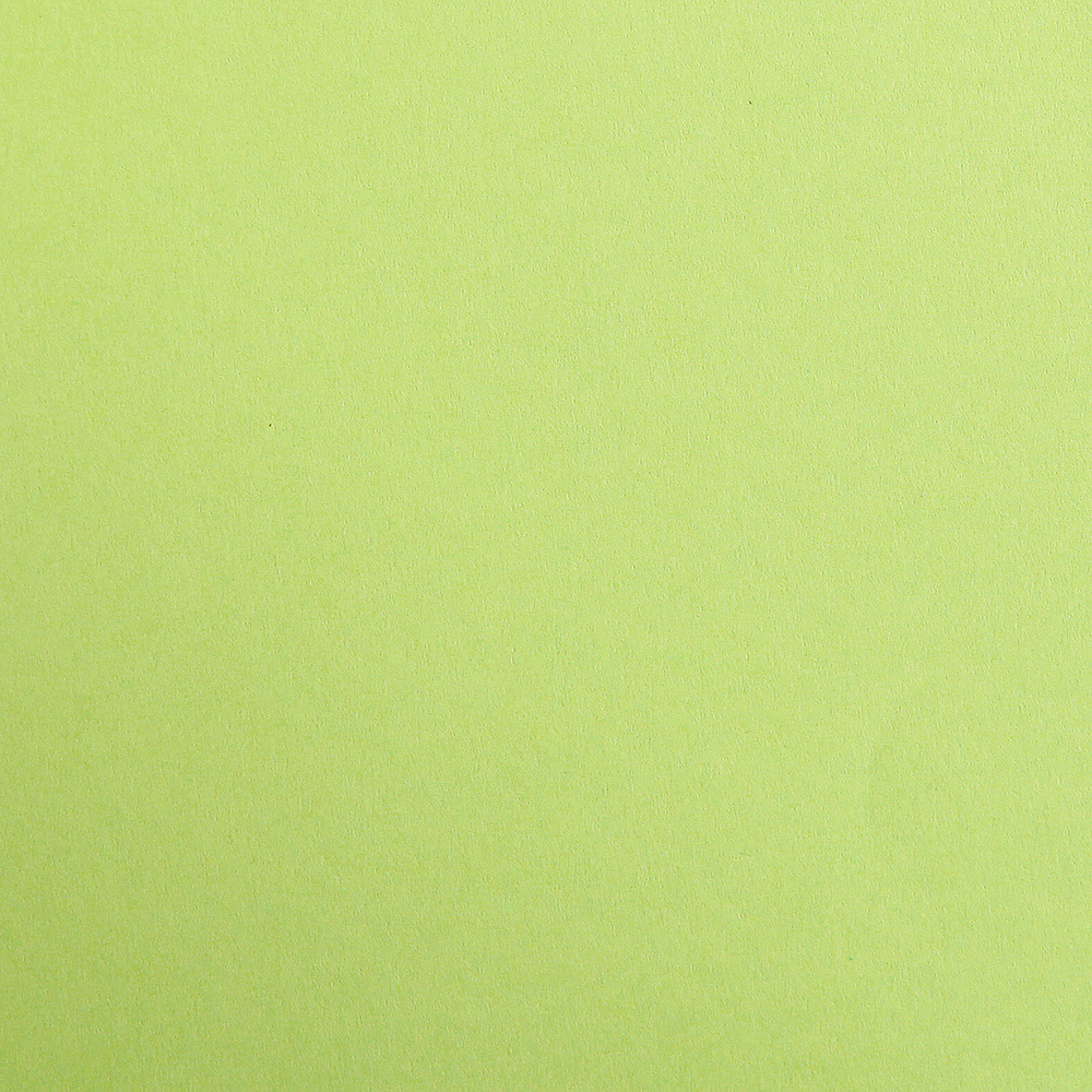 Бумага цветная "Maya", 50x70 см, 270 г/м2, светло-зеленый - 2