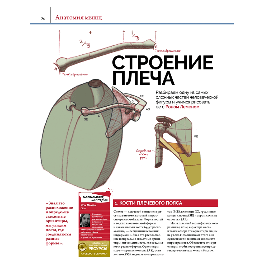 Книга "Анатомия. Создание реалистичных людей и животных + мастер-классы по QR-коду", FX Imagine - 6