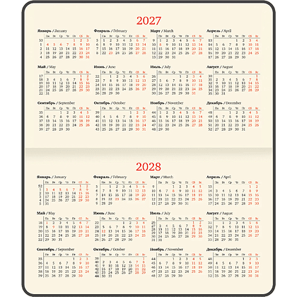 Еженедельник датированный "Augustus" на 2027 год, А6, 128 страницы, линейка - 6