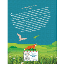 Книга "Серая Шейка. Сказки русских писателей о животных"